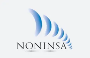 Noninsa