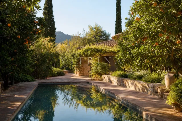 Cortijo La Luz — listing.photo 2