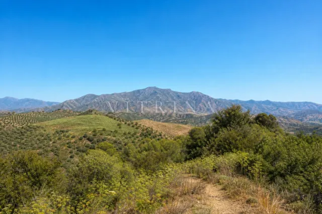 Urban plot in Estepona — listing.photo 2