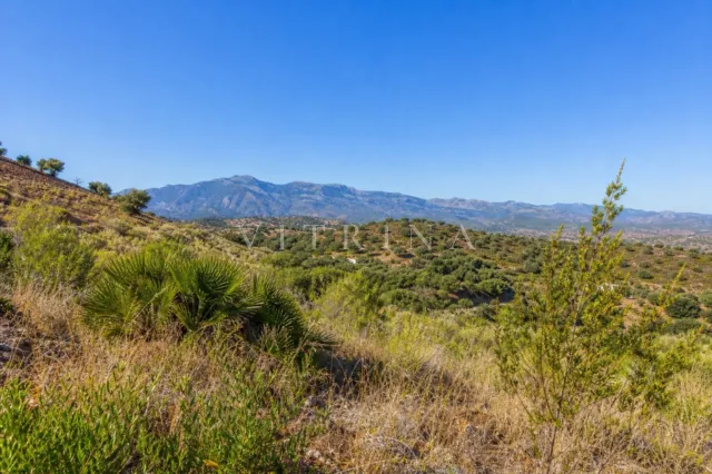 Urban plot in Estepona — listing.photo 3