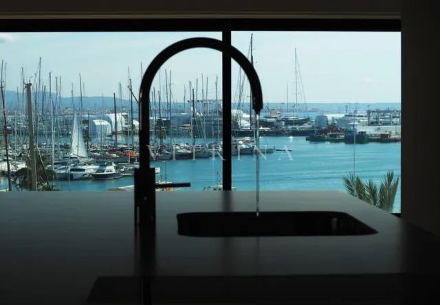 Palma Maritimo